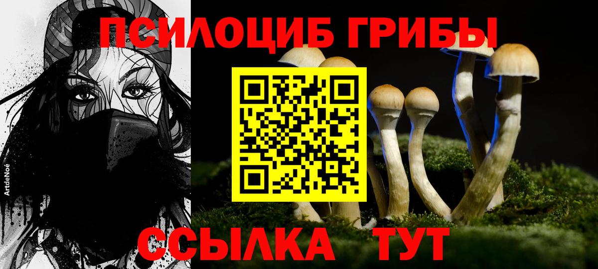 Псилоцибиновые грибы мухоморы  Вход с VPN  Псилоцибиновые грибы прущие грибы  Владикавказ 