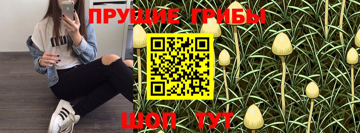 Псилоцибиновые грибы GOLDEN TEACHER Владикавказ